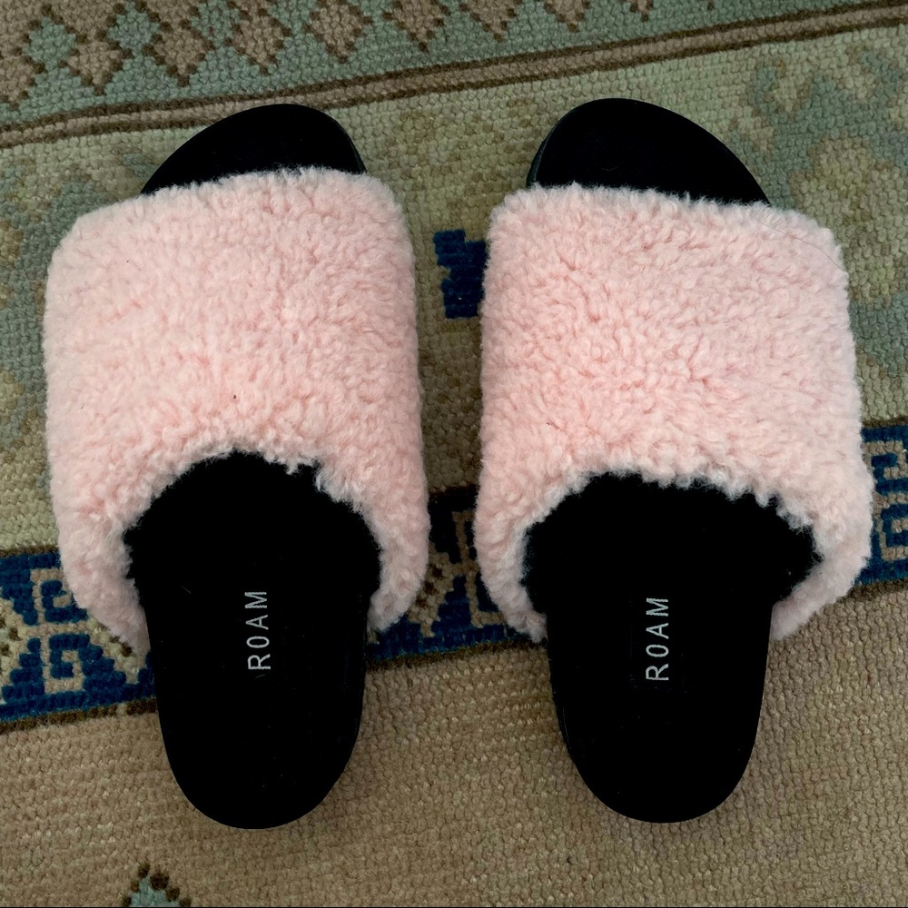 ROAM Pink Slides